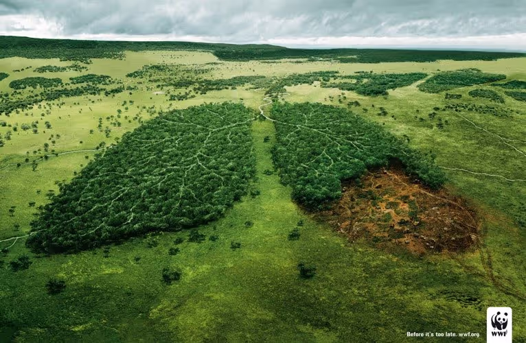 WWF 'Lungs' - Diese Kampagne visualisiert die Auswirkungen der Abholzung auf unsere Lungen, indem sie einen menschlichen Körper zeigt, dessen Lunge aus Bäumen besteht. Die eindringliche Bildsprache verdeutlicht die Dringlichkeit des Umweltschutzes.